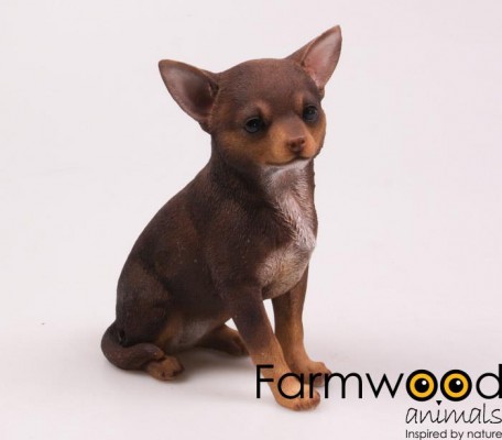 Iemand verrassen? Levensechte beelden Dierenbeelden levensecht Levensechte Chihuahua 23 cm  (MI3193)