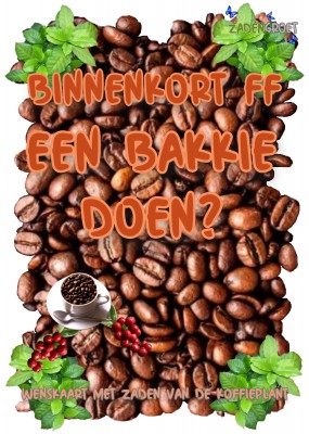 Beelden Plantkadootjes FF Bakkie doen met koffieplantzaden  (HTK119)