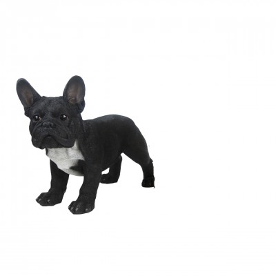 Zomerbollen Levensechte beelden Dierenbeelden levensecht Levensechte Franse bulldog zwart-grijs  (37000224)