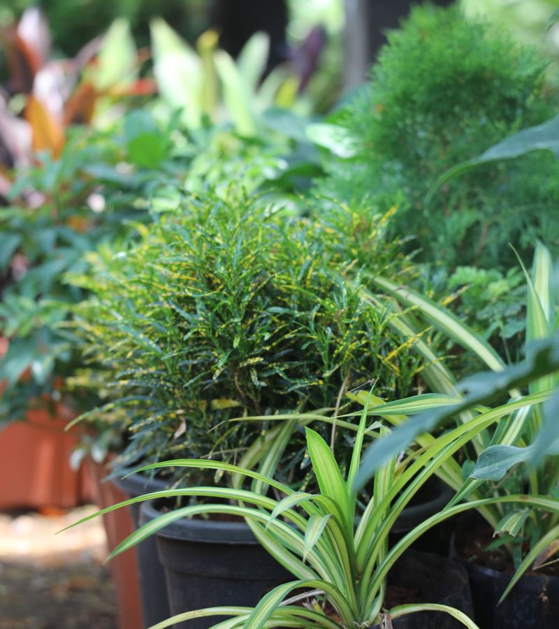 Sfeervolle producten voor huis en tuin