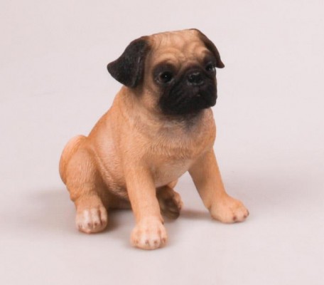Levensechte beelden Dierenbeelden levensecht Hondje gevlekt 14 cm zittend Levensechte Mopshond puppy 16 cm  (MI3240)