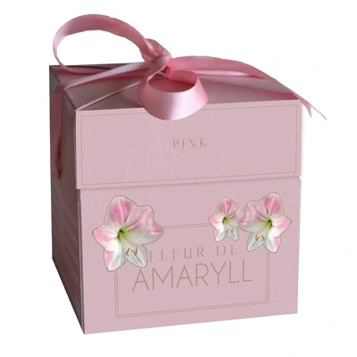 Geschenkdoosje Amaryllis Fleur D'Amaryll Pink