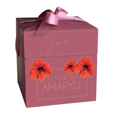 Geschenkdoosje Amaryllis Fleur D'Amaryll Red