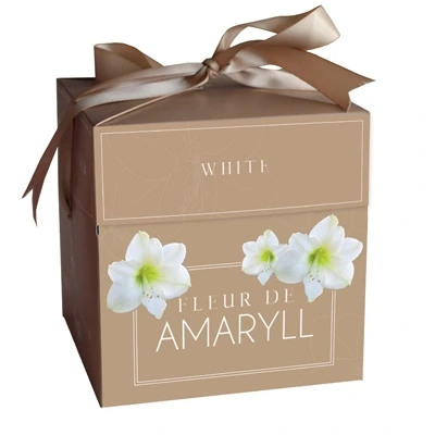 Geschenkdoosje Amaryllis Fleur D'Amaryll White