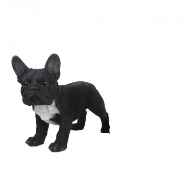 Levensechte Franse bulldog zwart-grijs