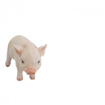 Levensecht biggetje staand roze
