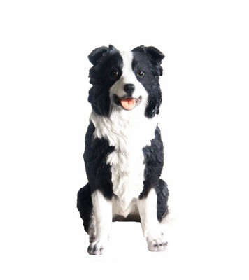 Border collie 26x24x14