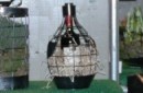 Draadfiguur fles