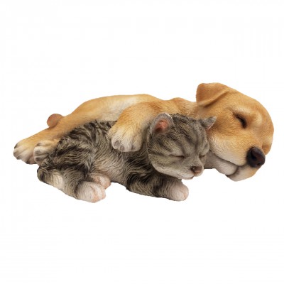 Slapende labradorpup en kitten