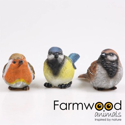 Assortiment vogels roodborst, mus en pimpelmees