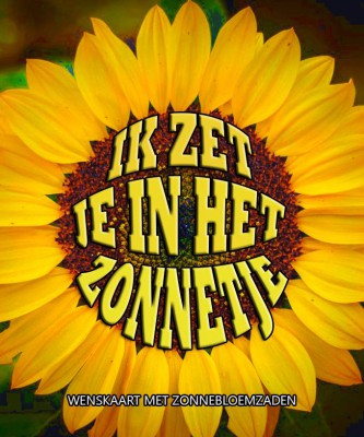 Ik zet je in het zonnetje