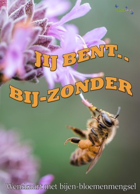 Jij bent bij-zonder