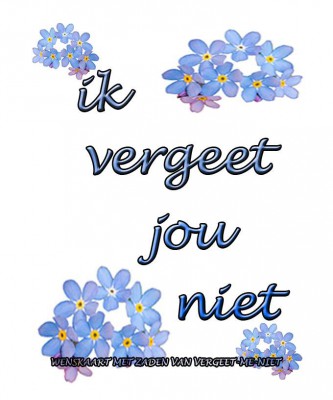 Ik vergeet jou niet