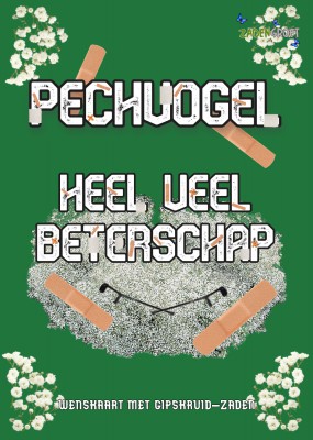 Pechvogel Beterschap met gipskruid