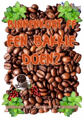 FF Bakkie doen met koffieplantzaden