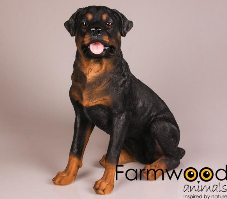 Levensechte Rotweiller 21cm