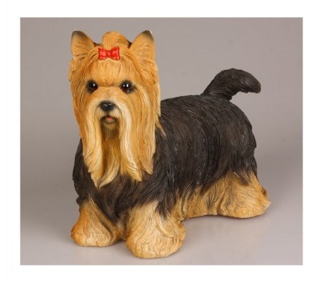 Yorkshire terrier Stone Lite 30x15x25
