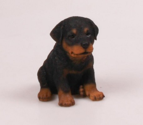 Levensechte Rotweiller puppy 9x13x16