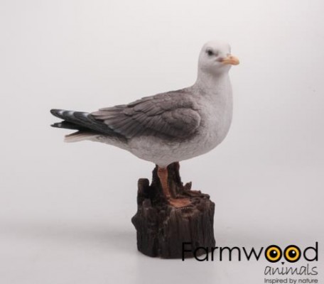 Meeuw 23 cm