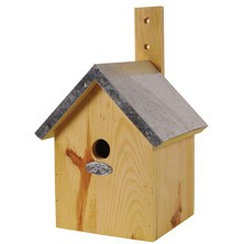 Nestkast pimpelmees