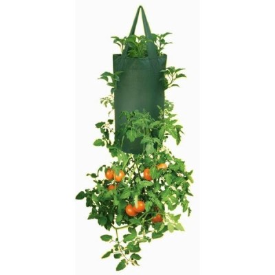 Groeizak Tomaat Duo 19x30
