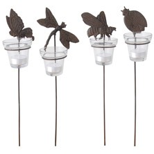 Tuinkandelaar insecten